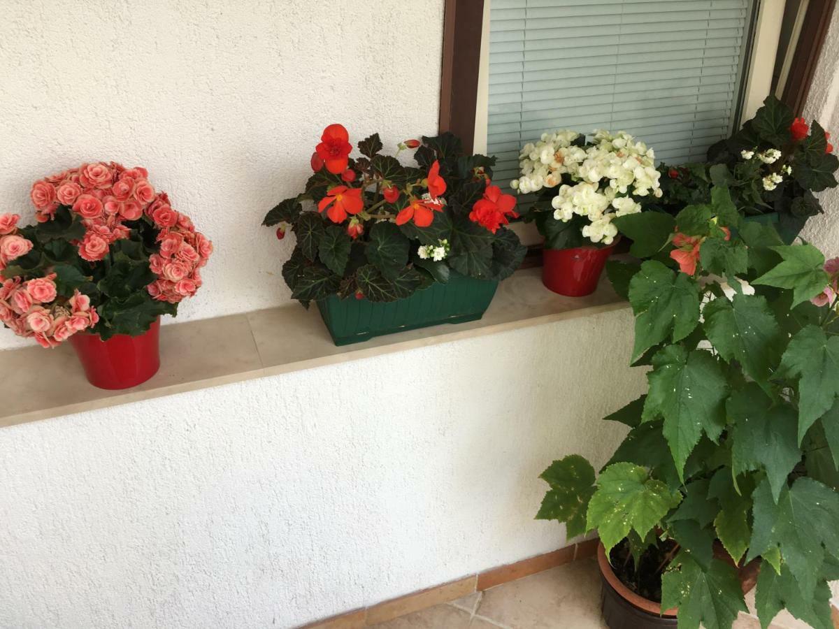 נובי ווינודולסקי Apartment Lucija מראה חיצוני תמונה