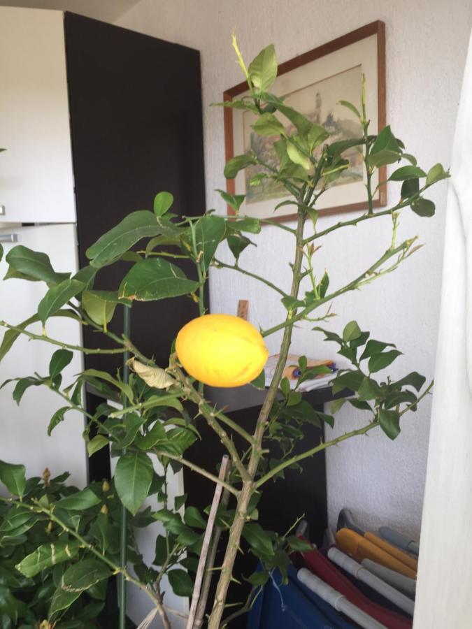 נובי ווינודולסקי Apartment Lucija מראה חיצוני תמונה